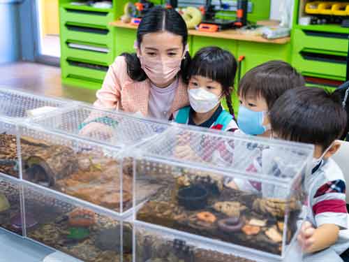 Aristle Kindergarten