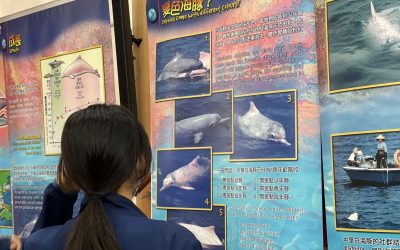 午間科學劇場
